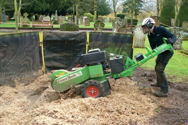 Stump Removal