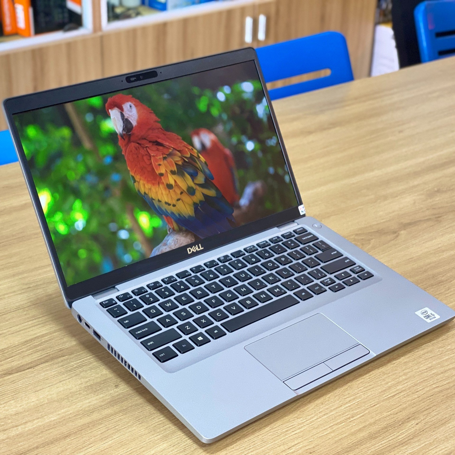 z4552022508095_7caa1e6b6031543b2bacc935694a60dc