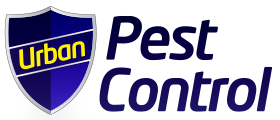 logo (3)