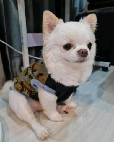 Mimi (2)